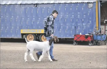  ?? SHARON BURNS PHOTO ?? A young man guides his goat to its pen during the Livestock Show Weekend on Saturday, March 5, at the California Mid-Winter Fair in Imperial.