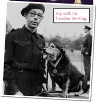  ??  ?? Rip with his handler, Mr King.