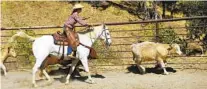  ?? LAURA MECOY ?? In the V6 Ranch’s Cowboy Academy, held in October, riders get to test their roping skills on cattle in a corral at the ranch.