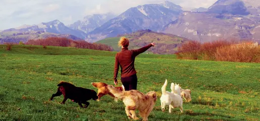  ??  ?? Le sorridono i monti
Silvia Montanaro con i suoi cani in Lessinia in contrada Vago, frazione di Velo Veronese a un’altitudine di 1.100 metri d’altezza