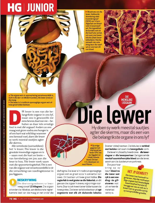 D Die lewer - PressReader