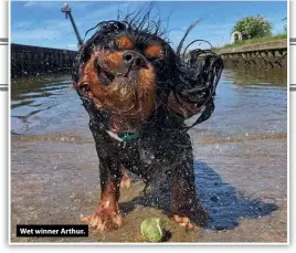  ??  ?? Wet winner Arthur.