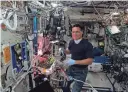  ?? NASA ?? Astronaut Frank Rubio works with tomato plants on the Internatio­nal Space Station in a botany study. A portion of a tomato harvested on the ISS that went missing months ago has been found.