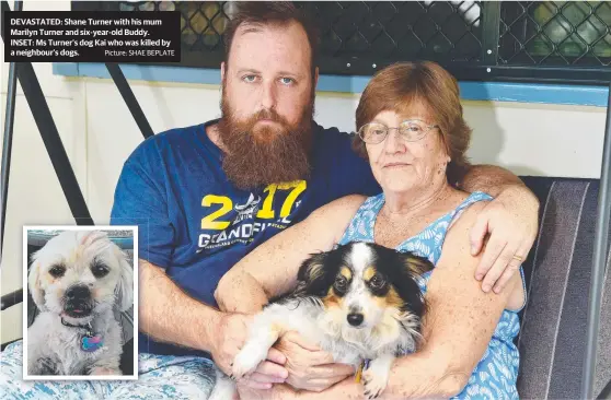  ?? Picture: SHAE BEPLATE ?? DEVASTATED: Shane Turner with his mum Marilyn Turner and six- year- old Buddy. INSET: Ms Turner’s dog Kai who was killed by a neighbour’s dogs.