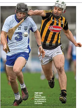  ??  ?? TOP CAT: Pádraig Walsh (right) has slotted in as Kilkenny’s full-back