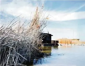  ??  ?? Zwischen Schilf und Seehütten wurden die Leichentei­le gefunden APA