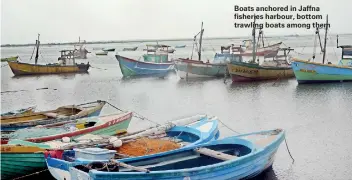  ??  ?? Boats anchored in Jaffna fisheries harbour, bottom trawling boats among them