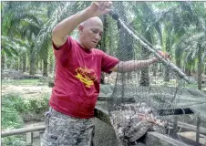  ?? ?? Mukhtar shows some catfish that he breeds. — Bernama photos