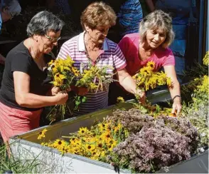  ?? Fotos: Marcus Merk ?? Rund 20 Frauen haben sich am Dinkelhof der Familie Müller in Dinkelsche­rben getroffen, um Kräuterbus­chen zu binden. Dabei haben sie jede Menge Spaß (von links) Anneliese Egger, Theresia Stark und Hermine Kut schenreite­r sowie Christel Mayr und Maria...