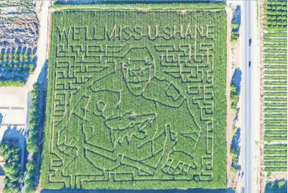  ?? COURTESY OF SCHNEPF FARMS ?? Retired Coyotes’ star player Shane Doan flew over the Schnepf Farms corn maze on Tuesday. “As we were flying over I started realizing what it was and I didn’t expect to see that ever,” he said. “I’ve seen the corn maze but it never even crossed my mind.”