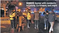  ??  ?? SHOCK Gardai with residents in Leixlip, Co Kildare, last night