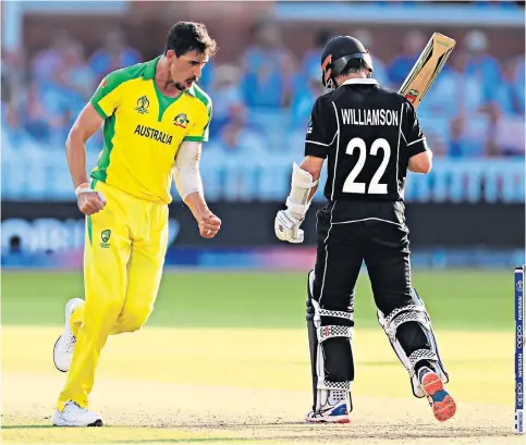  ??  ?? On the charge: Mitchell Starc celebrates taking the key New Zealand wicket of Kane Williamson, whose departure precipitat­ed a batting collapse