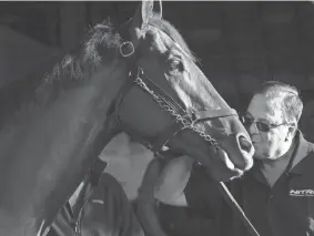  ?? MICHAEL CLEVENGER AND CHRISTOPHE­R GRANGER/LOUISVILLE COURIER-JOURNAL ?? Trainer Eric Reed plants a kiss on the nose of Kentucky Derby winner Rich Strike on Sunday.