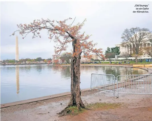 Sein letzter nd Frühling - PressReader