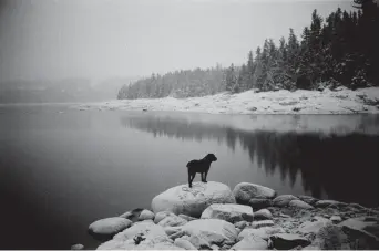  ?? CHARLES-FRÉDÉRICK OUELLET ÉDITIONS LOCO ?? Photos tirées du livre To Winter There