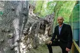  ??  ?? Wouter van der Veen, of the Van Gogh Institute, poses next to the alleged spot where Dutch painter Vincent Van Gogh painted his last canvas before his mysterious death from a gunshot wound, in Auvers-sur-Oise.—AFP photos