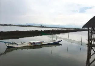  ??  ?? The fishponds are separated by dikes—strips of land that people can walk on and where structures are built. Some fishponds can only be reached by boat.