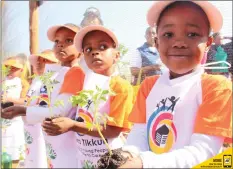  ??  ?? Afrika Tikkun early childhood developmen­t at the Arekopanen­g Centre in Orange Farm launched their Garden to Kindergart­en programme to educate pupils aged two to six about the environmen­t.