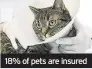  ??  ?? 18% of pets are insured