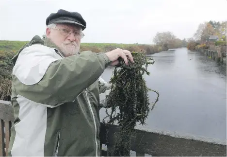  ?? NICK PROCAYLO ?? Mariner’s Village strata president Michael Krygier says the strata is willing to do what it takes to fight a Brazilian elodea infestatio­n.