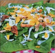  ?? CONTRIBUTE­D ?? ChickenMoz­zarella Salad is Sunday fare and also good for casual functions. Itwas servedonac­anoetripfo­r 50 young people because only one ice chestwas needed to hold the lettuce and cheese, and the restwas canned.