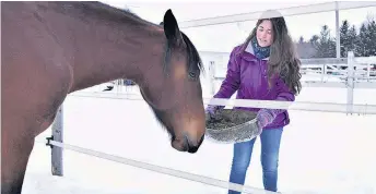  ??  ?? Vanessa Breton, qu’on aperçoit avec la jument Ostara, traite ses chevaux aux petits oignons : journées au grand air, moulée biologique et friandises faites maison sont au menu.