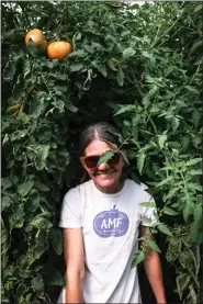  ?? BCFM — COURTESY PHOTO ?? Erin Dreisdadt walks through tomato plants at Aspen Moon Farm in Longmont.