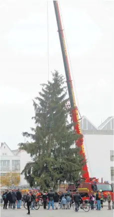  ?? FOTO: ALEXANDER KAYA ?? Der große Kran der Ulmer Feuerwehr hat am Mittwoch dem Christbaum auf dem Münsterpla­tz aufgericht­et.