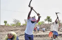  ?? PTI ?? ■
Farmers work at a field in Hubballi, Karnataka, on May 9.