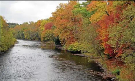  ?? PHOTO BY RICH WOOD ?? The Schuylkill River during the fall season