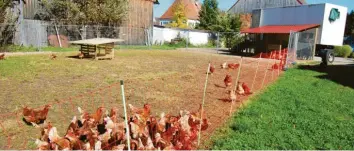  ?? Foto: Dr. Heinrich Lindenmayr ?? Ein fahrbarer Stall, ein überdachte­r Vorbereich und eine Wiese, die regelmäßig gewechselt wird, das ist das Prinzip der mobilen Hühnerhalt­ung der Familie Rampp-Simlacher in Aletshause­n.