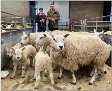  ?? ?? Champion pen of Texel hoggs and single lambs realised £238 per life for DJ Livingston­e, Kirklevale