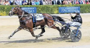  ?? PHOTO: RACE IMAGES ?? They had to . . . Chase Auckland lives up to his name as he scores a recordbrea­king win in the Sires Stakes Final at Addington yesterday.