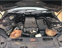  ??  ?? Two massive rhino horns were found hidden under the bonnet of a car at a police roadblock near the SA/Swaziland border on April 11. Although investigat­ions continue, sources indicate that the horns –cable-tied inside the engine compartmen­t – may have...