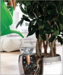  ?? HOME, GARDEN, AND HOMESTEAD NEWS ?? The Hydro Bloom is a new way to keep potted plants happily watered.