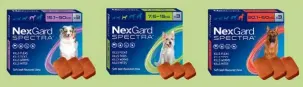  ?? ?? Want to save your fur baby from all these issues? For fleas, ticks and worms done in one, treat your dog every month with NEXGARD SPECTRA – comprehens­ive protection delivered in a tasty, beef-flavoured chew. Find it at all good veterinary outlets.
Visit nexgardspe­ctra.co.nz