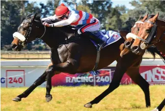  ?? Picture: JC Photograph­ics ?? BIG RUNNER. Hawkbill is the runner Muzi Yeni selects as the horse to beat in Race 6, the Listed TAB Hawwaam Stakes over 2000m at Turffontei­n today.
