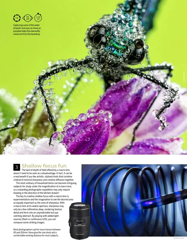  ?? Andrew James ?? Capturing some of the water droplets and eyes as sharp as possible helps this damselfly stand out from the backdrop.