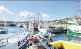  ?? GLEN WHIFFEN/THE TELEGRAM ?? Fishing boats at St. John’s harbour Wednesday. Many fishermen are doubtful owner-operator and fleet separation policies can be enforced enough to be effective.