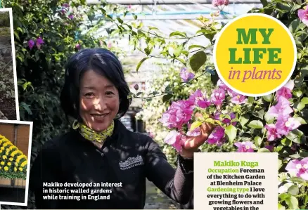  ??  ?? Makiko developed an interest in historic walled gardens while training in EnglandMak­iko KugaOccupa­tion Foreman of the Kitchen Garden at Blenheim Palace Gardening type I love everything to do with growing flowers and vegetables in the walled garden