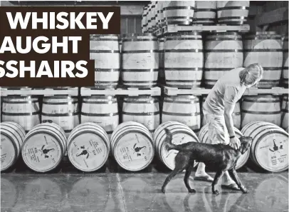  ?? LARRY MCCORMACK, THE (NASHVILLE) TENNESSEAN ?? Lee Kennedy walks with his dog Scout past rows of aging whiskey barrels at Leiper’s Fork Distillery in Franklin, Tenn. The Volunteer State is home to 30-plus distilleri­es.