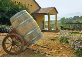  ??  ?? From left: The wines at Vallonné Vineyards are a result of years of experiment­ation; grape plucking at Vallonné.