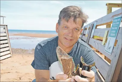  ?? %"7& 45&8"35 5)& (6"3%*"/ ?? Mike MacDonald, a former resident of Souris, was home visiting recently, when he started observing broken glass all over Souris Beach. He invited The Guardian for a walk along the beach to show some of what he found.