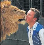  ??  ?? CAT CARESS: Thomas kisses lion