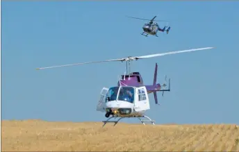  ??  ?? The twin-engine HALO helicopter makes its descent to land after HALO 1 had landed and its rotors stopped. The two helicopter­s were at the HALO harvest that took place southeast of Bow Island on Thursday, Aug. 8.