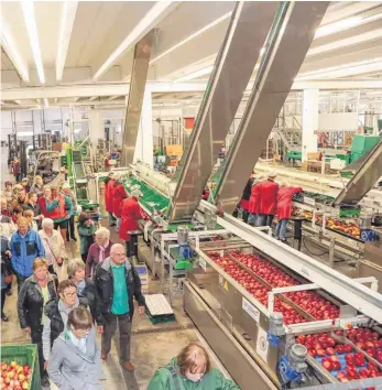  ?? FOTO: ANDY HEINRICH ?? 31 interessie­rte Besucher erhalten bei den Apfelwoche­n einen Einblick in die Produktion­sabläufe des Obstgroßma­rkts Spanagel in Eriskirch.