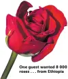  ??  ?? One guest wanted 8 000 roses . . . from Ethiopia