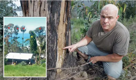  ?? Picture: PETER RISTEVSKI ?? VIEW TO KILL FOR: Chris Orr claims trees on Koonya Ave, Wye River, are being poisoned. INSET: The red dots show the trees poisoned on Crown land and the yellow dot is a tree on Mr Orr’s property.