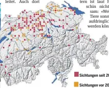  ?? CSCF ?? Eine Übersicht von Waschbären-Sichtungen in der Schweiz.