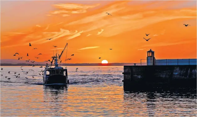  ?? ?? Day’s end
A fishing trawler arrives home at sunset to Burghead in Moray, North-east Scotland, with its catch of the day.